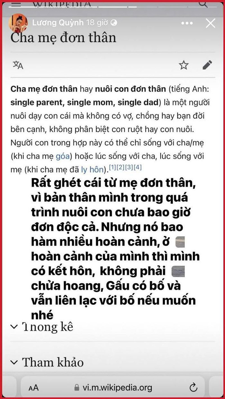 Kết duyên với bạn trai doanh nhân, Quỳnh Lương lên tiếng &#39;ghét từ mẹ đơn thân&#39; - 1