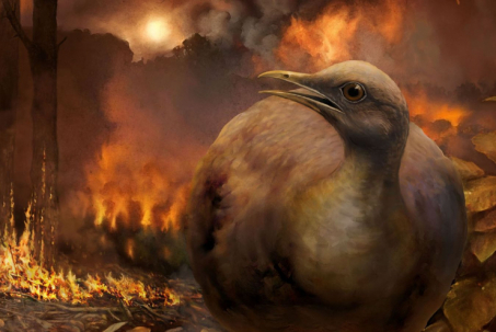 Vì sao khủng long tuyệt chủng nhưng loài chim vẫn tồn tại?