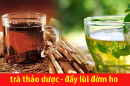 Mách bạn 5 loại trà thảo dược vừa giải nhiệt mùa hè vừa tốt cho người ho đờm lâu năm 