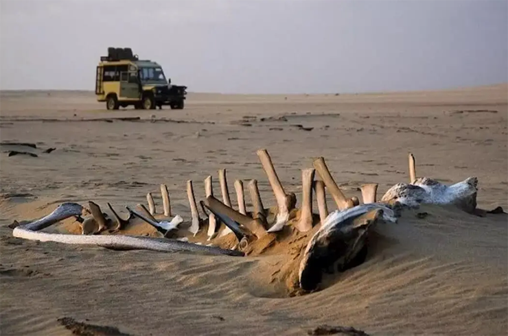 Bờ biển Skeleton, Namibia trải dài từ phía nam của Angola đến phía bắc của Namibia. Do môi trường khắc nghiệt, "bờ biển xương" này là một trong những địa điểm nguy hiểm nhất trên Trái đất, với cơ hội sống sót thực tế rất ít. Nhiệt độ cao, gió thiêu đốt, thiếu lương thực và nước uống khiến du khách gặp khó khăn trong việc khám phá địa điểm xa xôi này.
