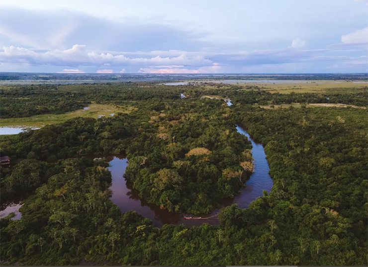 Khu bảo tồn thiên nhiên Madidi ở Bolivia rộng khoảng 19.000km2 và nằm dọc sông Amazon. Khu bảo tồn thiên nhiên này là nơi sinh sống của nhiều loại động - thực vật hoang dã, một số có độc và không ăn được. Vì khu rừng đầy thú săn mồi nên du khách được cảnh báo không nên đến khu vực này một mình.
