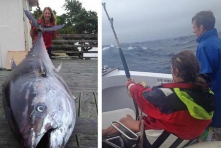 Người phụ nữ câu được cá ngừ khổng lồ nặng 411 kg, hơn 40 tỷ đồng