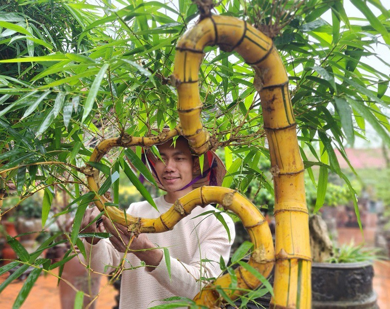 Anh Luân tự tay lên ý tưởng và làm phôi tre, tạo tác và chăm sóc.