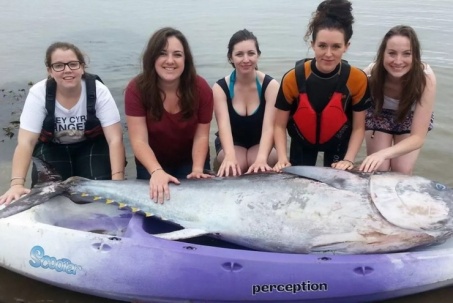 5 cô gái bắt được cá ngừ khổng lồ giá hơn 31 tỷ đồng