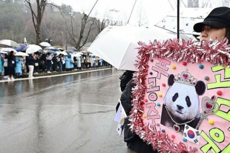 Hàng nghìn người Hàn đội mưa chia tay gấu trúc Fu Bao