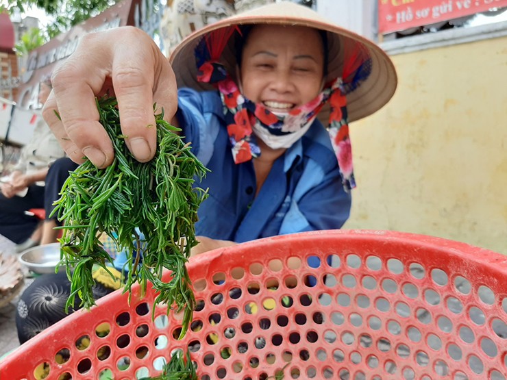 Rau nhót được đánh giá giàu chất dinh dưỡng, có thể chế biến nhiều món như nộm, nấu canh thịt bằm, xào thịt bò...
