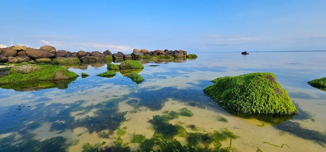 Phú Quý vào mùa rêu đẹp như chốn "bồng lai tiên cảnh" - 6