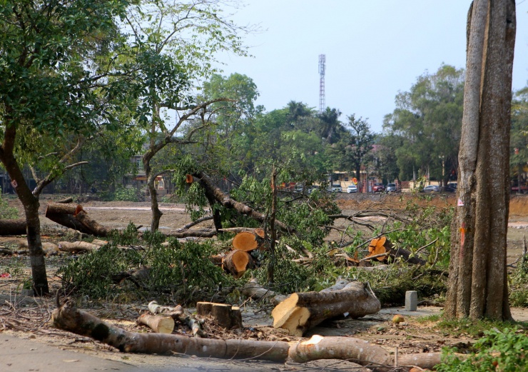 Việc di dời, chặt bỏ, di dời cây xanh nằm trong dự án “Cải thiện cơ sở hạ tầng đô thị Hương Khê”. Cụ thể dự án này được UBND tỉnh Hà Tĩnh phê duyệt vào năm 2020, do UBND huyện làm chủ đầu tư với tổng mức đầu tư trên 709 tỷ đồng.