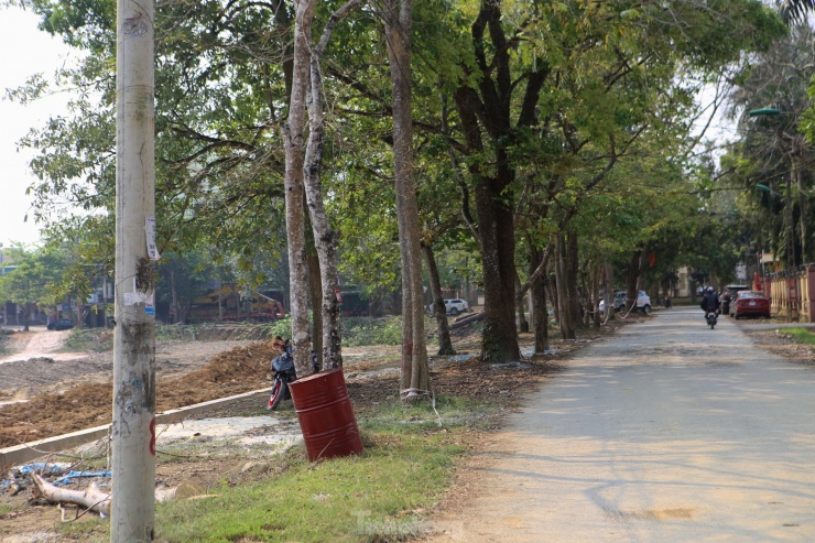Để thực hiện dự án, huyện Hương Khê buộc phải di dời, chặt bỏ hàng trăm cây xanh xung quanh khuôn viên hồ Bồng Sơn (thị trấn Hương Khê). Trong ảnh những cây cổ thụ quanh bờ hồ Bồng Sơn được trồng từ hàng chục năm trước.