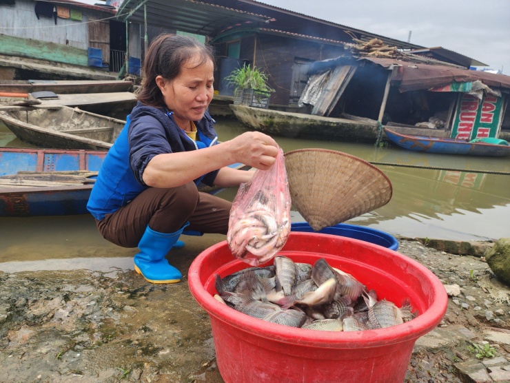 Chị Nguyễn Thị Tính, 46 tuổi hiện không có việc làm. Mỗi ngày, chị tìm mua cá của những người dân đánh cá bán lại kiếm lời.