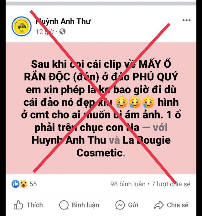 Sự thật về ‘ổ rắn độc nhất thế giới’ bất ngờ xuất hiện ở đảo Phú Quý - 2