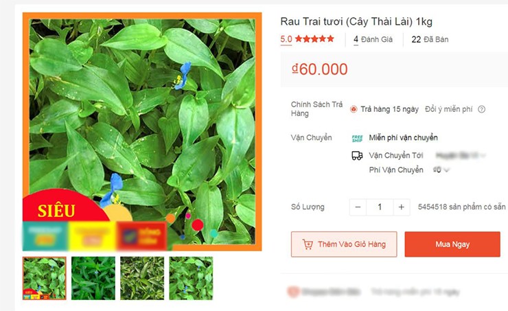 Cỏ thài lài được bán ở nhiều nơi, lên cả sàn thương mại điện tử, giá thài lài tươi dao động 50.000 - 70.000 đồng/kg.
