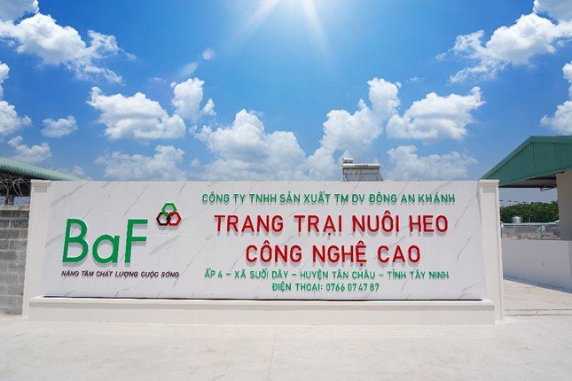 Công ty CP Nông nghiệp BaF Việt Nam liên tục miễn nhiệm chức vụ kế toán trưởng.