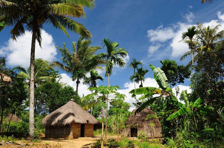 Ngôi làng bình yên với những căn nhà lá ở Tây Timor. Ảnh: Travel Marbles.
