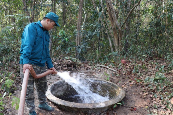 Nhân viên bảo vệ rừng tiếp nước cho thú rừng. Ảnh: Phước Tuấn