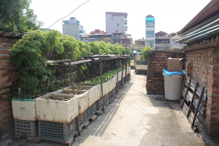 Hiện tại chỉ có một lối duy nhất dẫn lên sân thượng của khu nhà. Tại sân thượng, cư dân tận dụng diện tích bằng phẳng để trồng rau.