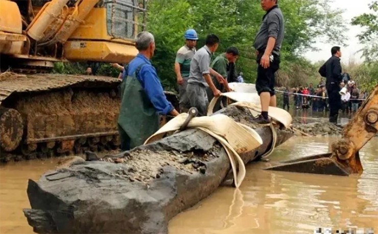 Nghi ngờ thứ mình tìm thấy là gỗ quý, ông thuê thợ và máy xúc để vớt khúc gỗ lên. Nó có kích thước khổng lồ với chiều dài lên đến 24m.
