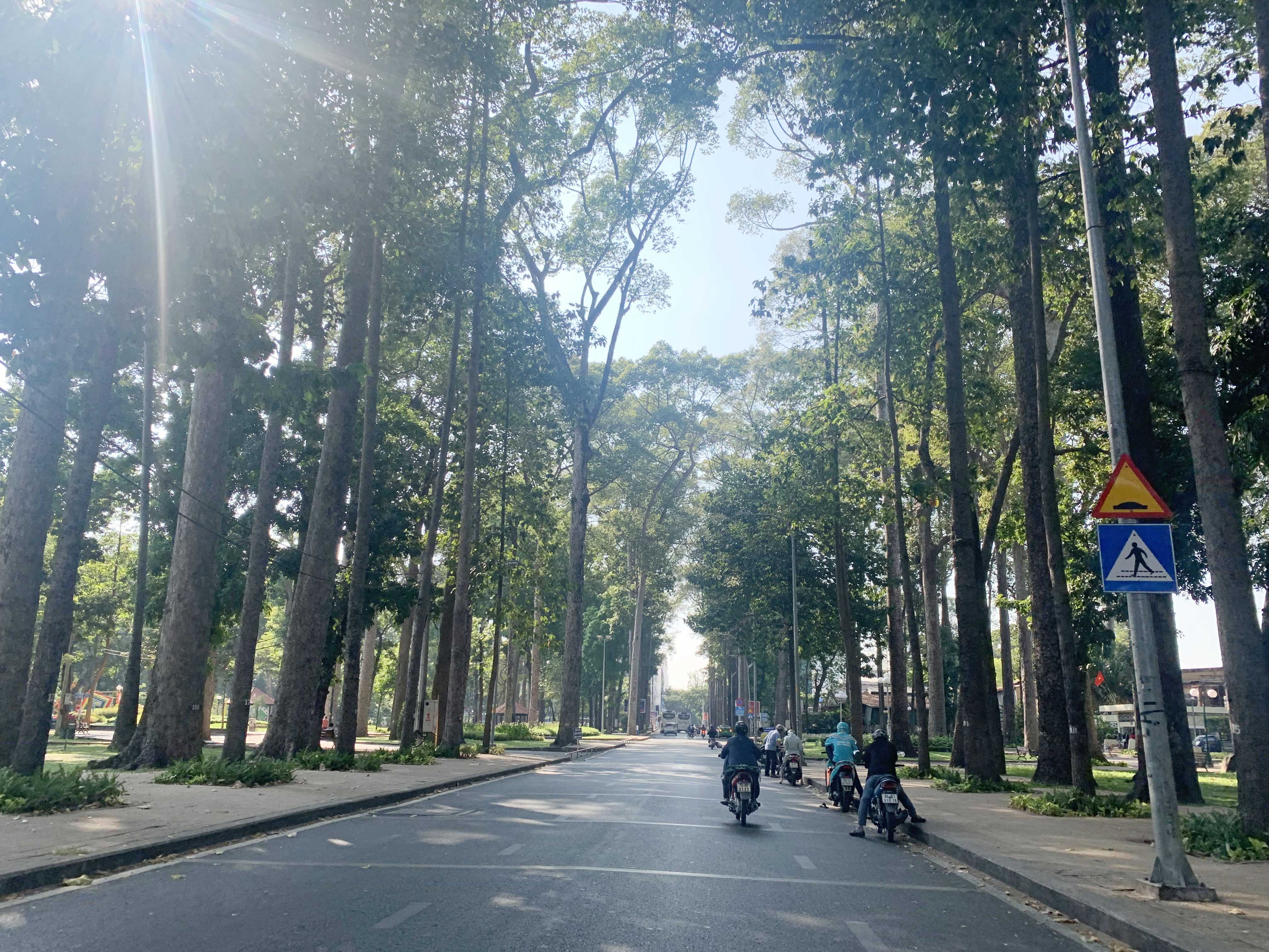 Trải qua quá trình đô thị hoá, TP.HCM vẫn giữ gìn được nhiều con đường rợp bóng cây, được ví như những “báu vật xanh” của thành phố.