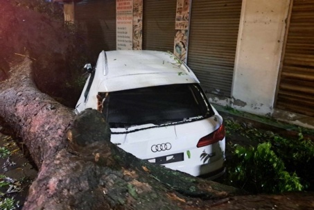 Hà Nội: Dông lốc dữ dội, cây đổ đè trúng xe Audi và Mercedes