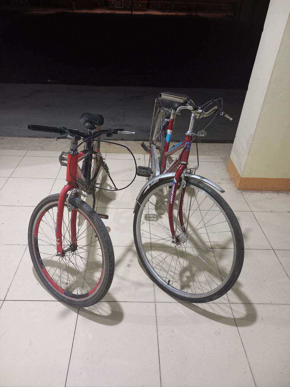 Chiếc xe đạp 2 thiếu niên sử dụng