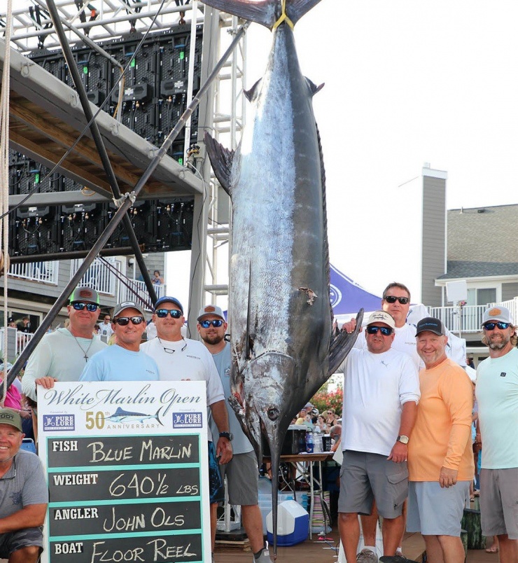 Người đàn ông câu được con cá marlin xanh nặng 290kg và giành được số tiền khổng lồ 6,2 triệu USD.