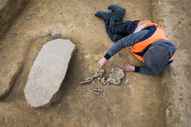 Một nhà khảo cổ đang khai quật 