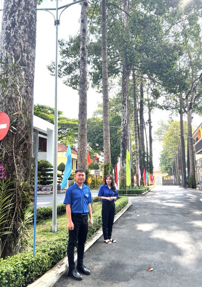 Lối vào bên trong trụ sở thành phố Thủ Dầu Một với hàng cây cổ thụ