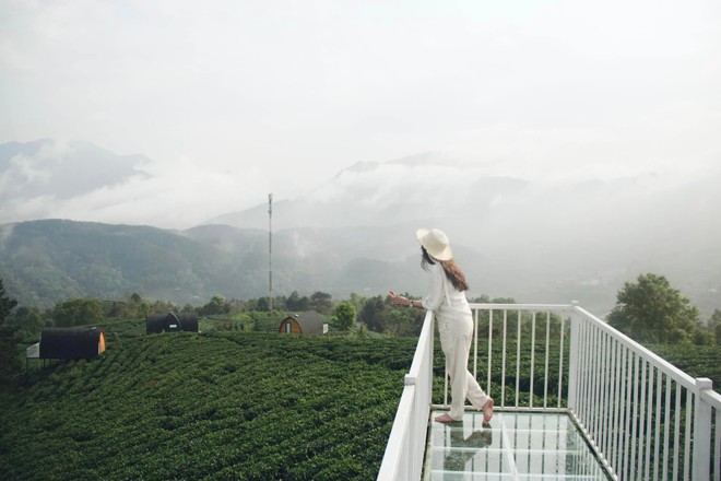 Đặc sản mùa hè ở Cao Bằng là đồi chè xanh bát ngát