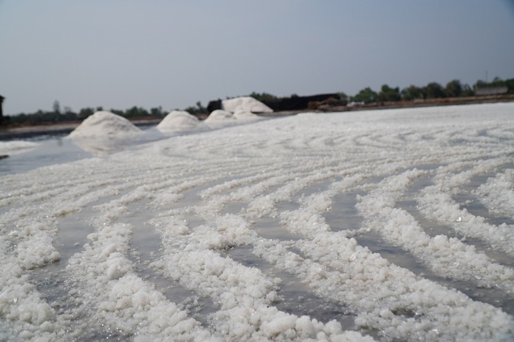 Tính ra, giá muối năm nay người dân bán được khoảng 1.000 đồng/kg, muối xấu giá bán còn rẻ hơn.