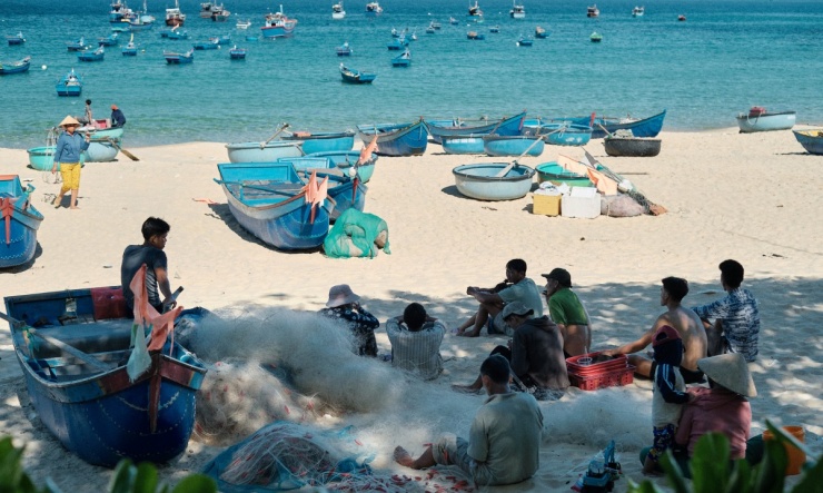 Cắm trại ngắm biển trên cù lao không người ở Phú Yên