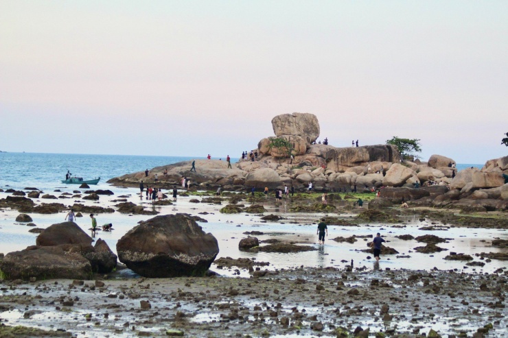 Khu vực biển Hòn Chồng (đường Phạm Văn Đồng) thủy triều rút sâu lộ rõ các bãi đá, rạn san hô đẹp mắt và nhiều sinh vật biển khác đã thu hút sự hiếu kỳ của người dân và khách du lịch.