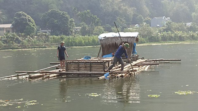 Cá chết bất thường trên sông Mã ở Thanh Hoá - 4