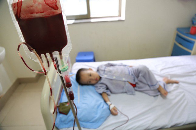 Với những biểu hiện chính là thiếu máu và thừa sắt, bệnh nhân thalassemia cần phải được truyền máu và dùng thuốc thải sắt suốt đời.