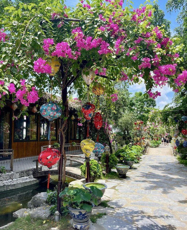 Vườn nho sai trĩu quả ở Ninh Bình: Điểm đến mới hứa hẹn hút khách dịp nghỉ lễ - 4