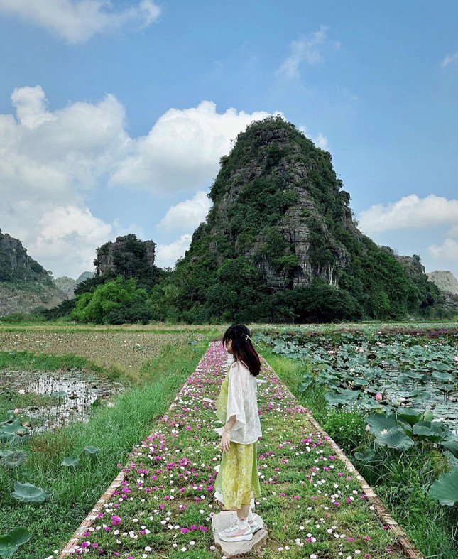Vườn nho sai trĩu quả ở Ninh Bình: Điểm đến mới hứa hẹn hút khách dịp nghỉ lễ - 8