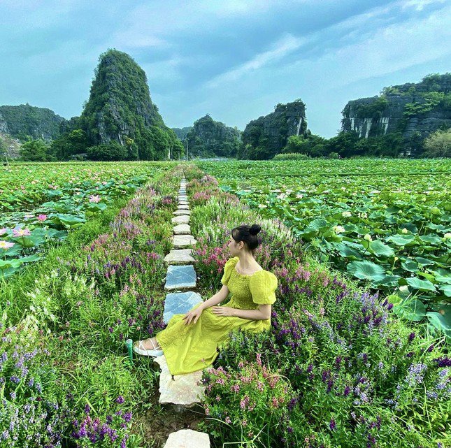 Vườn nho sai trĩu quả ở Ninh Bình: Điểm đến mới hứa hẹn hút khách dịp nghỉ lễ - 10