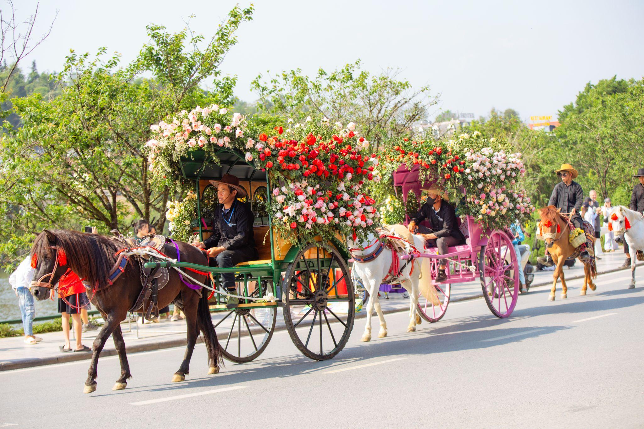 Sa Pa: Du khách mê mẩn check-in với hàng triệu đóa hồng trong Lễ hội Hoa hồng Fansipan - 6