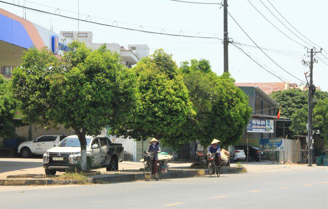 Người dân khốn khổ dưới cái nắng kỷ lục 44 độ C ở Quảng Trị - 5