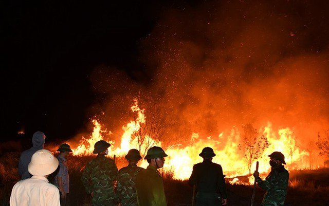 Vụ cháy rừng ven biển ở Quảng Bình gây thiệt hại lớn
