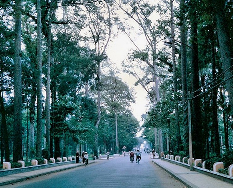 Những con đường Sài Gòn thay đổi sau hơn 50 năm - 19