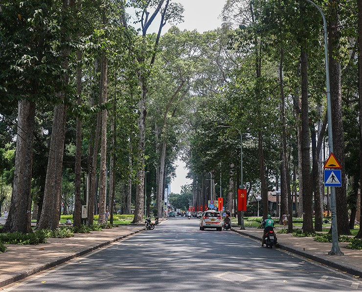 Đường Trương Định chạy ngang qua công viên Tao Đàn trong ảnh chụp 1967 của Bill Mullin. Sau nhiều năm, hai bên đường với hàng cây dầu cao vút vẫn tỏa bóng mát, xanh ngắt. Trước năm 1975, đường mang tên Trương Công Định, sau được rút gọn như ngày nay.