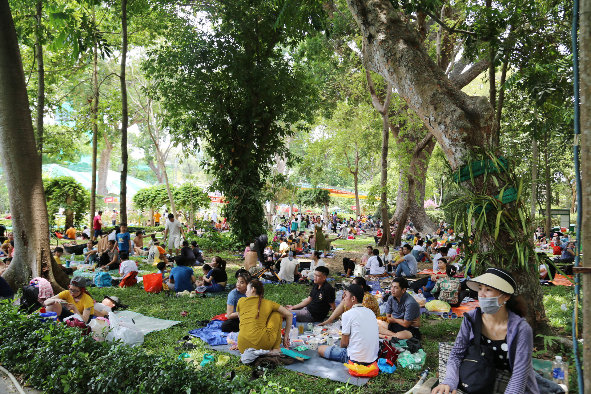 Người dân ngồi nghỉ mệt, ăn uống dưới các tán cây cổ thụ trong Thảo Cầm Viên