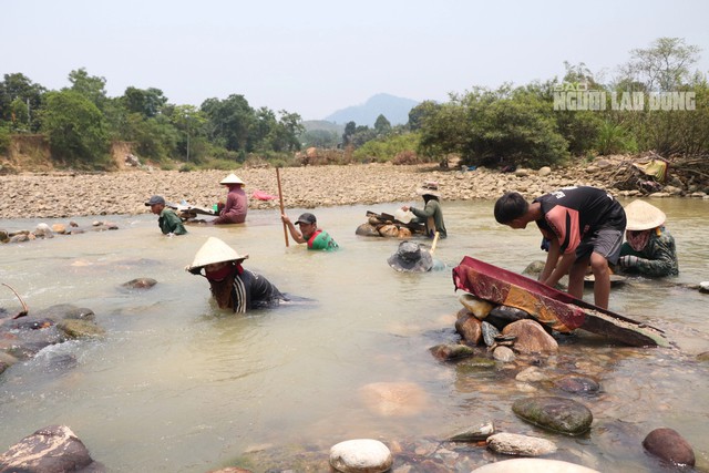 Clip: Người dân Quảng Nam đổ xô xuống sông đãi cát tìm vàng - 13