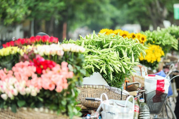 Hoa loa kèn được bán nhiều ở dọc đường Thanh Niên, Thụy Khuê, Giảng Võ, Nguyễn Chí Thanh... Giá hoa bán lẻ khá cao nhưng vẫn thu hút khá đông người mua.