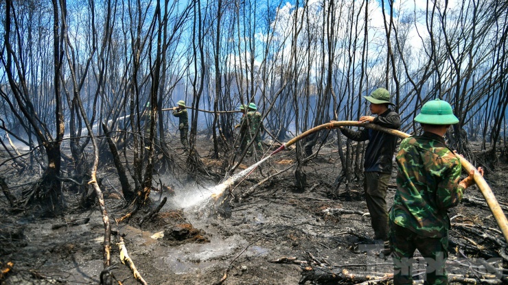 Lực lượng triển khai các phương án dập lửa.