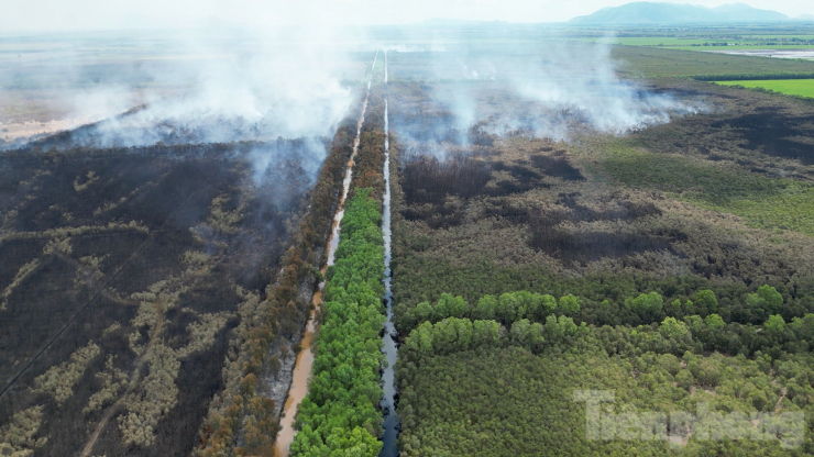 Gần 100 giờ chiến đấu với 'giặc lửa', khống chế vụ cháy rừng ở Kiên Giang - 12