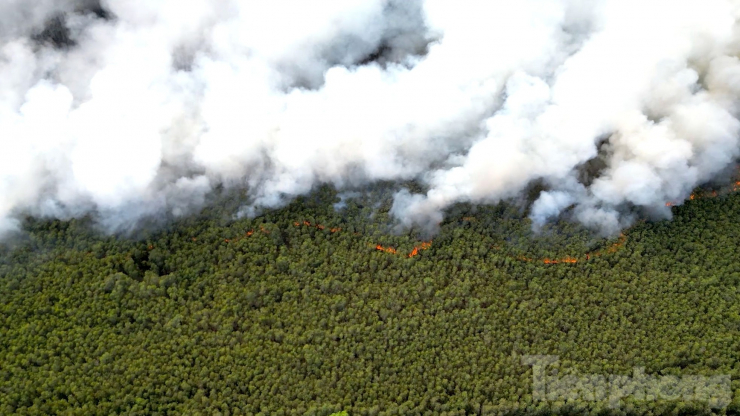 Gần 100 giờ chiến đấu với 'giặc lửa', khống chế vụ cháy rừng ở Kiên Giang - 14
