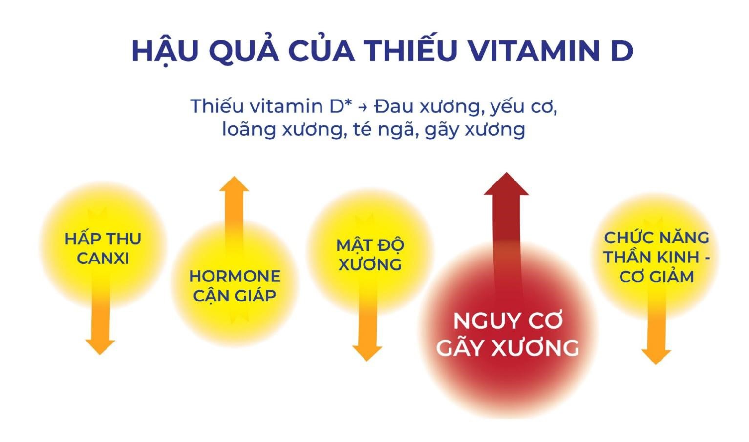 Bổ sung Vitamin D cho người lớn cùng viên uống Sundovit - 2