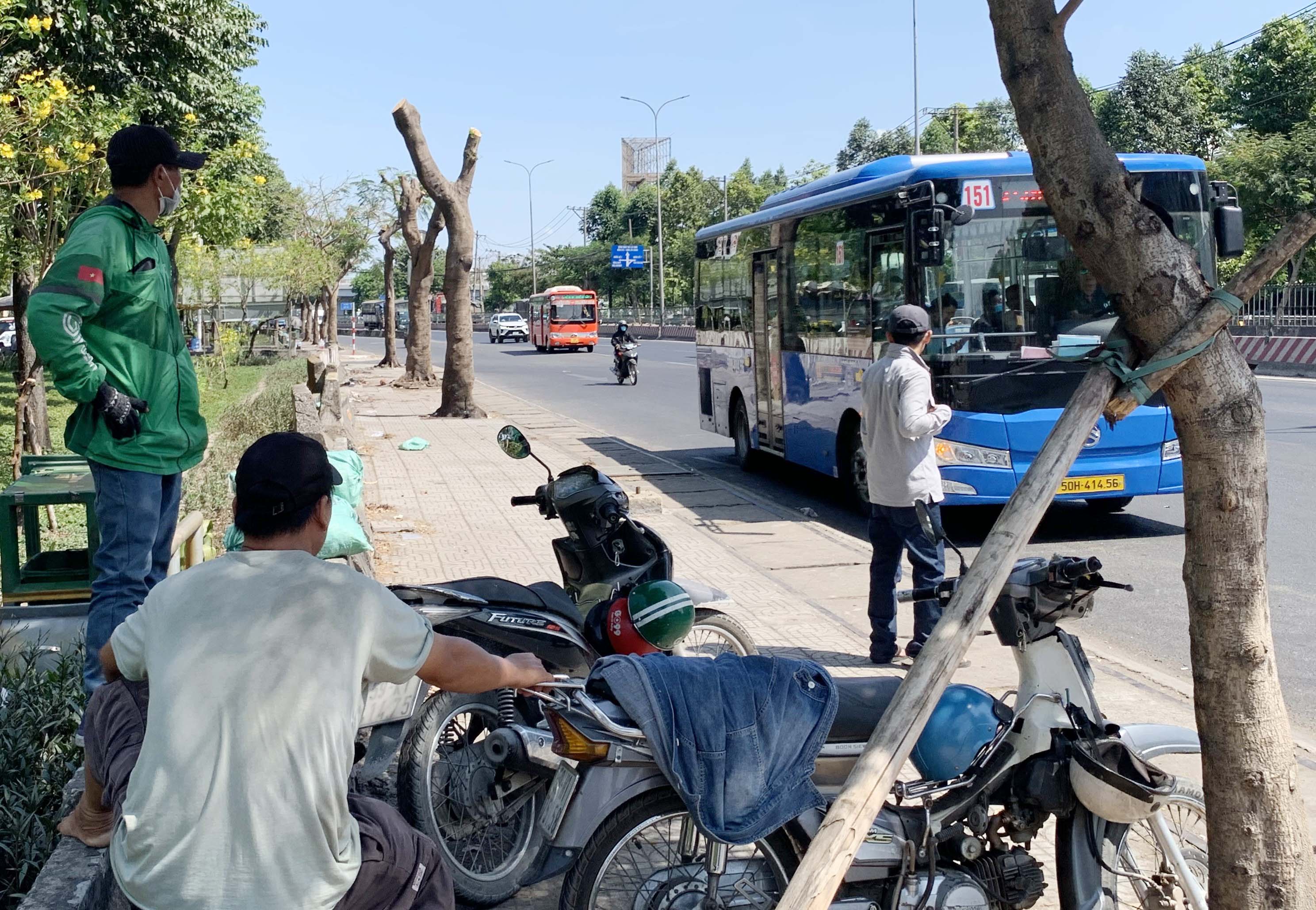 Anh Lê Văn Minh đứng chờ khách đi xe ôm cho biết, những tán cây xanh trước kia không còn nên anh phải liên tục “chạy nắng”. “Đứng chờ khách một chút nắng tới là phải chạy vì cây không bị cắt thì nhỏ, ít bóng mát. Mong sao cây nhanh phát triển cành lá để có bóng mát như trước đây”, anh Minh chia sẻ.