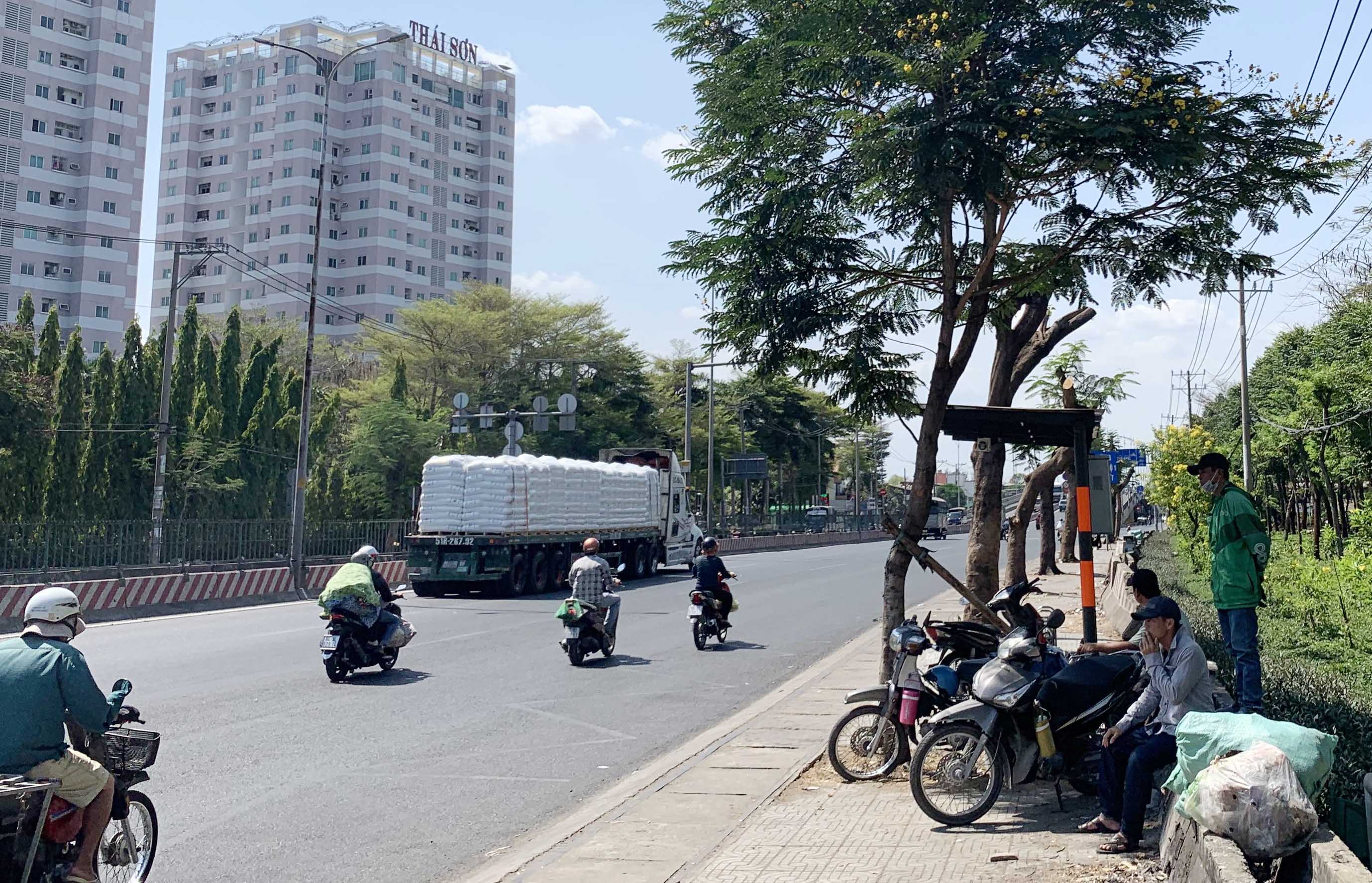 Hàng cây xanh cao lớn, tỏa bóng mát đã bị cắt trụi cành nên giờ nhiều bác tài xe ôm đành đứng chờ khách ở cây có ít bóng mát trong cái nắng nóng rát da thịt ở TP.HCM